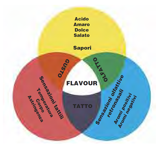 Assaggio professionale del caffè