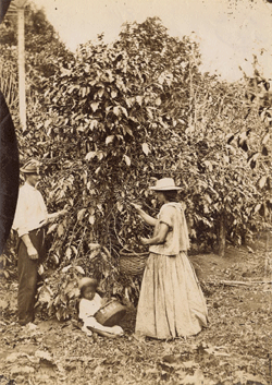 Cafegrafia, la memoria nei filtri di caffè